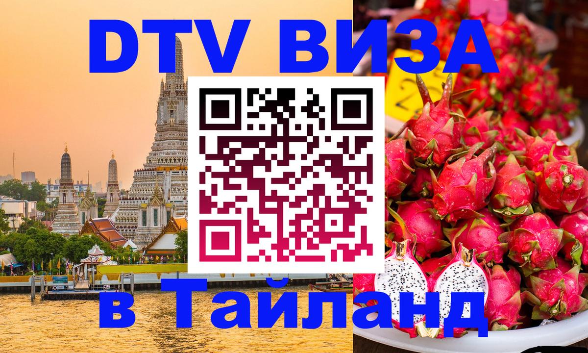 Оформление DTV визы под ключ: стоимость и тарифы, только загранпаспорт - Кишинёв 